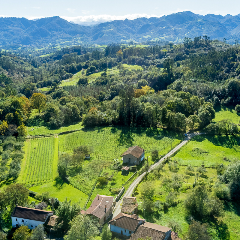 Terrenos en Asturias